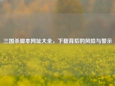 三国杀脚本网址大全，下载背后的风险与警示