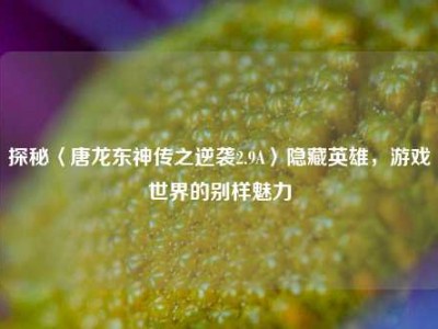 探秘〈唐龙东神传之逆袭2.9A〉隐藏英雄，游戏世界的别样魅力