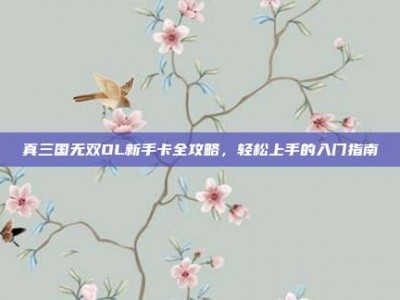 真三国无双OL新手卡全攻略，轻松上手的入门指南