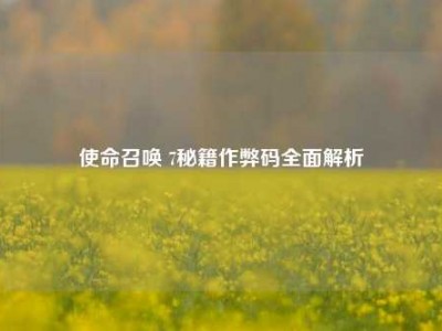 使命召唤 7秘籍作弊码全面解析
