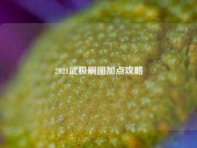 2021武极刷图加点攻略