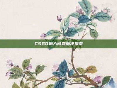 CSGO输入问题解决指南