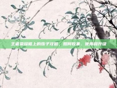 王者荣耀框上的珠子攻略，如何收集、使用和升级