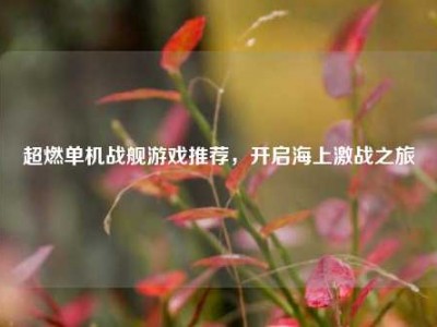 超燃单机战舰游戏推荐，开启海上激战之旅