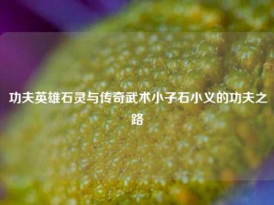 功夫英雄石灵与传奇武术小子石小义的功夫之路