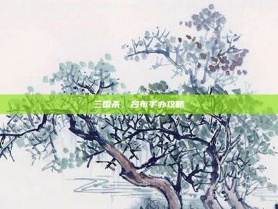 三国杀，吕布手办攻略