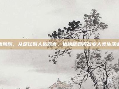 猪膀胱，从足球到人造器官，猪膀胱如何改变人类生活史