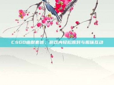 CSGO幽默套路，游戏内轻松应对与趣味互动