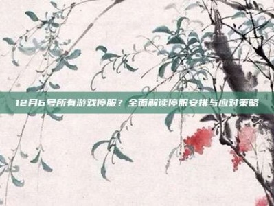 12月6号所有游戏停服？全面解读停服安排与应对策略