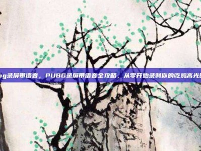 pubg录屏带语音，PUBG录屏带语音全攻略，从零开始录制你的吃鸡高光时刻