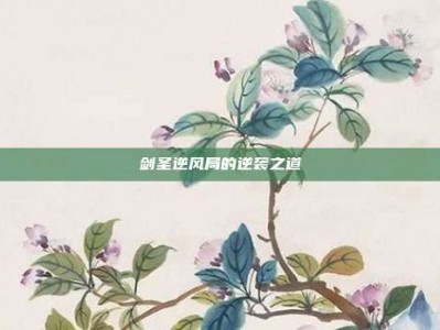 剑圣逆风局的逆袭之道
