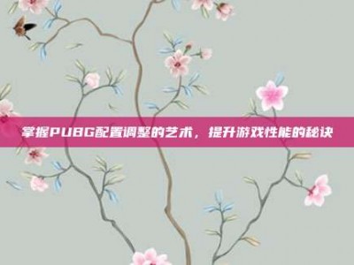 掌握PUBG配置调整的艺术，提升游戏性能的秘诀