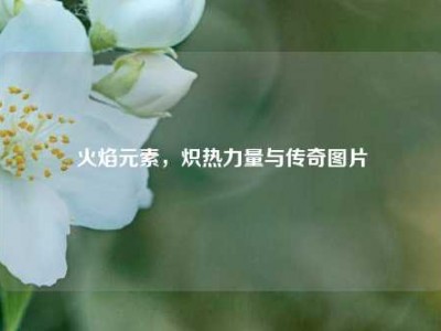 火焰元素，炽热力量与传奇图片