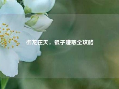 御龙在天，银子赚取全攻略