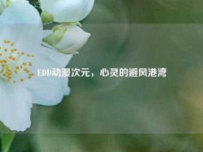 EDD动漫次元，心灵的避风港湾