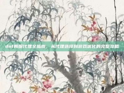 dnf韩服代理全指南，从代理选择到游戏优化的完整攻略
