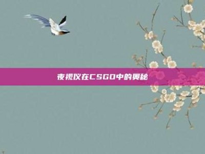 夜视仪在CSGO中的奥秘