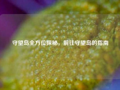 守望岛全方位探秘，前往守望岛的指南
