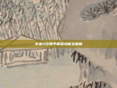 小米11玩和平精英功能全解析