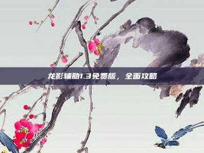 龙影辅助1.3免费版，全面攻略