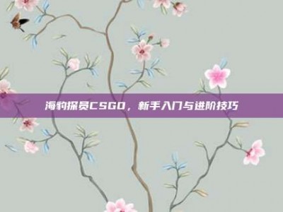 海豹探员CSGO，新手入门与进阶技巧