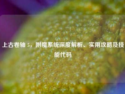上古卷轴 5，附魔系统深度解析、实用攻略及技能代码