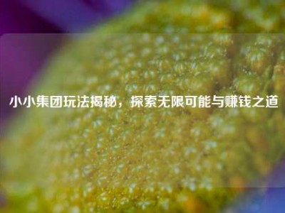 小小集团玩法揭秘，探索无限可能与赚钱之道