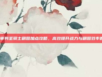 DNF审判圣骑士刷图加点攻略，高效提升战力与刷图效率的关键