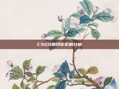 CSGO撕印花影响分析