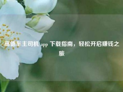 高德车主司机 app 下载指南，轻松开启赚钱之旅
