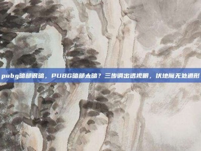 pubg暗部很暗，PUBG暗部太暗？三步调出透视眼，伏地魔无处遁形