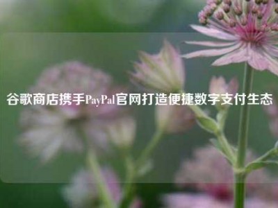 谷歌商店携手PayPal官网打造便捷数字支付生态