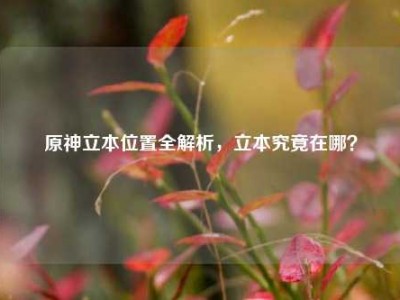 原神立本位置全解析，立本究竟在哪？