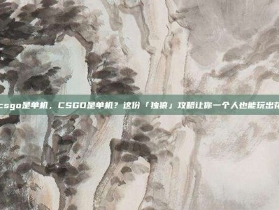 csgo是单机，CSGO是单机？这份「独狼」攻略让你一个人也能玩出花