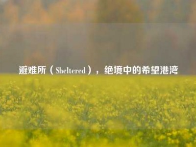 避难所（Sheltered），绝境中的希望港湾