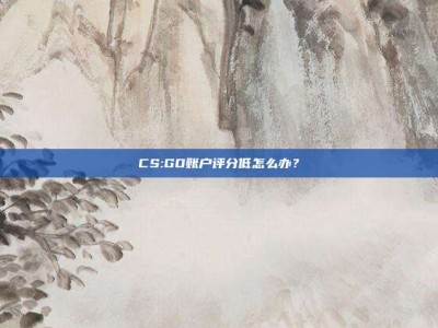 CS:GO账户评分低怎么办？