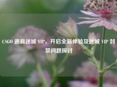 CSGO 道具迷城 VIP，开启全新体验及迷城 VIP 封禁问题探讨