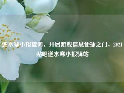 逆水寒小报查询，开启游戏信息便捷之门，2021贴吧逆水寒小报驿站