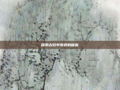 探索古旧羊皮纸的秘密