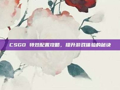 CSGO 特效配置攻略，提升游戏体验的秘诀