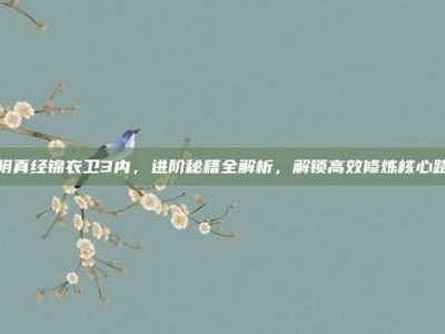 九阴真经锦衣卫3内，进阶秘籍全解析，解锁高效修炼核心路径