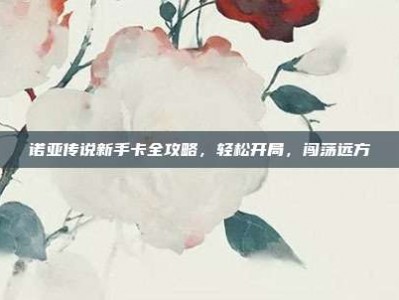 诺亚传说新手卡全攻略，轻松开局，闯荡远方