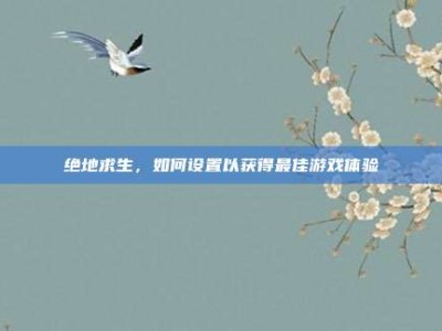 绝地求生，如何设置以获得最佳游戏体验