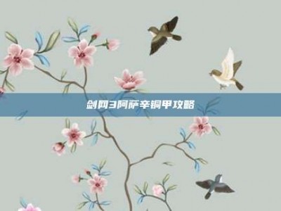 剑网3阿萨辛铜甲攻略