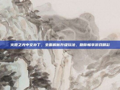 火炬之光中文补丁，全面解析升级玩法，助你畅享游戏精彩