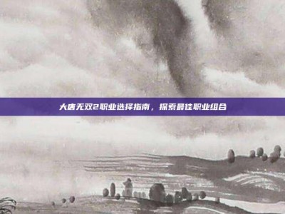 大唐无双2职业选择指南，探索最佳职业组合