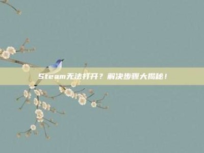 Steam无法打开？解决步骤大揭秘！