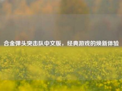 合金弹头突击队中文版，经典游戏的焕新体验