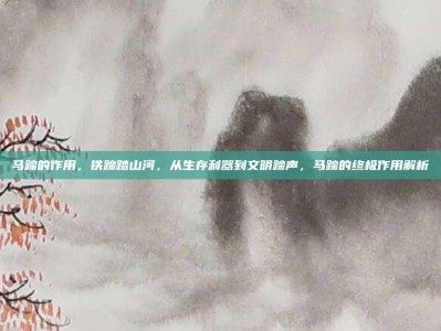 马蹄的作用，铁蹄踏山河，从生存利器到文明蹄声，马蹄的终极作用解析