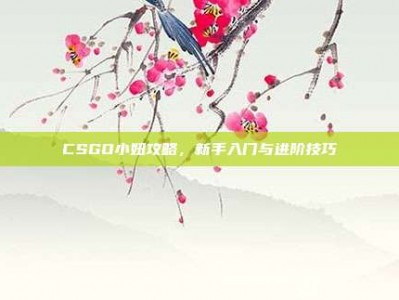 CSGO小妞攻略，新手入门与进阶技巧